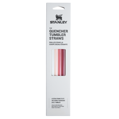 Adventure Quencher Travel Tumbler Straws | 30 OZ | 4-Pack - 66PQ
